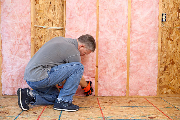 Best Commercial Insulation in Flatonia, TX